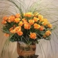 For The Service Image